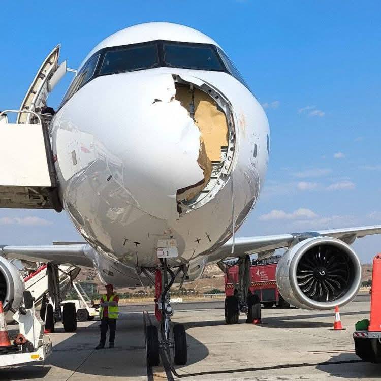 Collision aviaire : un Airbus A321XLR d'Iberia contraint de faire demi-tour
