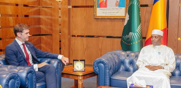 Tchad/Royaume-Uni : L'Ambassadeur Britannique Ross Matthews fait ses adieux au Ministre d'État