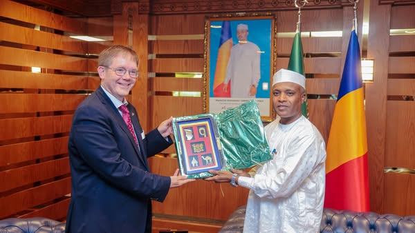 Tchad/Allemagne : Fin de mission pour l'Ambassadeur Gregor Schotten