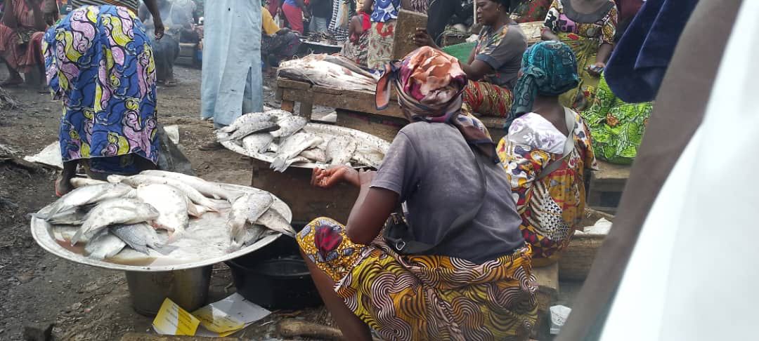 Tchad : Comment nourrir une population de 21 millions d'habitants ?