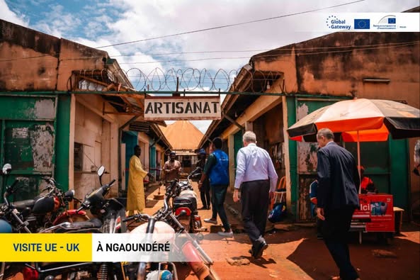 Cameroun - Adamaoua : Les ambassadeurs de l'UE et du Royaume-Uni explorent le potentiel de la région