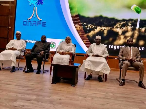 Tchad – Lancement du projet « Jeunesse Emploi-Vert » pour l'agriculture durable
