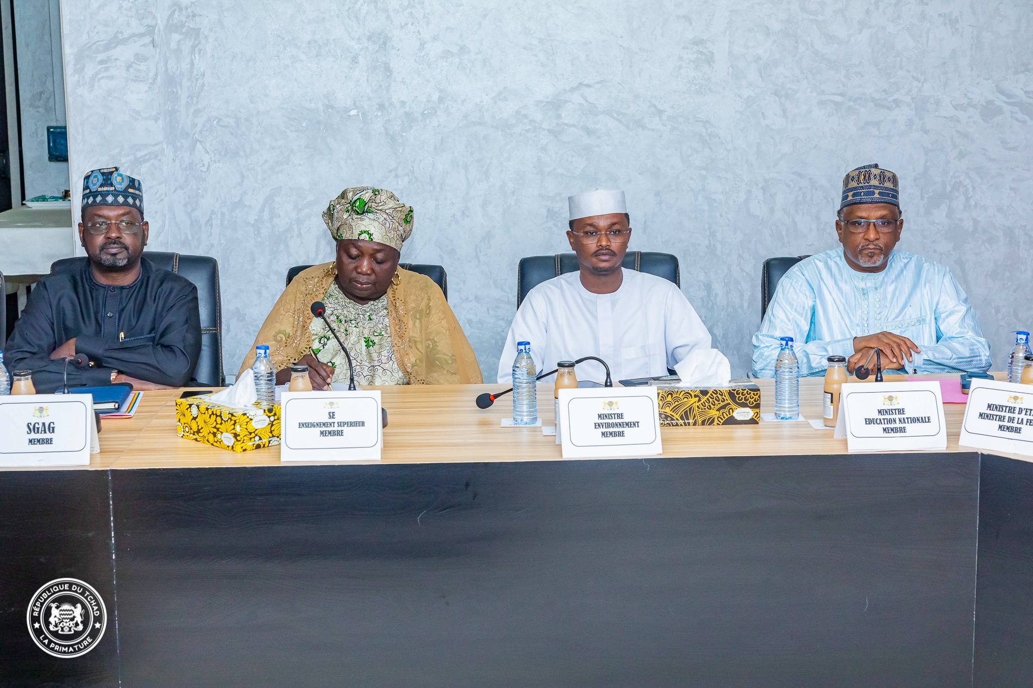 Tchad : installation par le Premier ministre des membres de la commission nationale de pilotage du programme DDRR