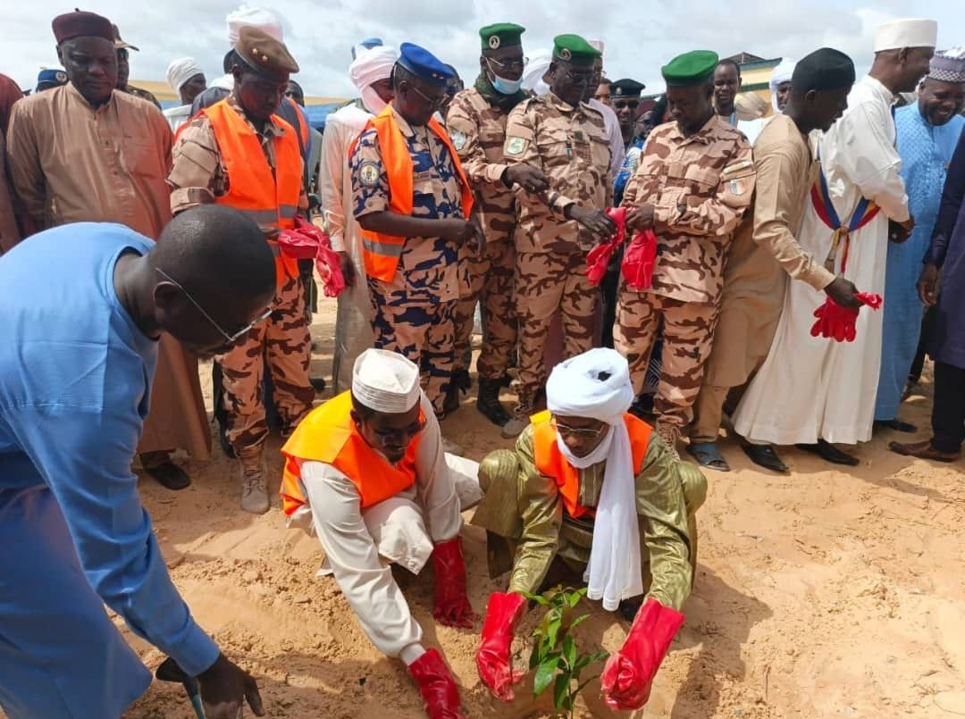 Tchad : Lancement de la Semaine nationale de l'arbre 2025 à Bol