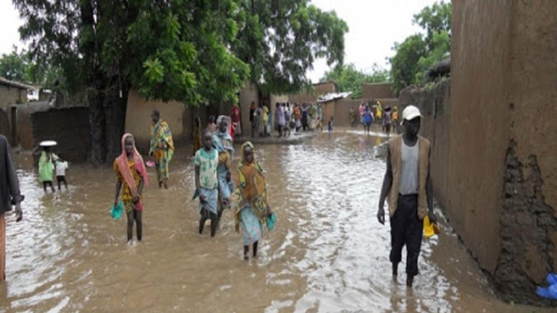 Cameroun : L'Extreme-Nord fait face à une situation humanitaire alarmante selon l'ONU