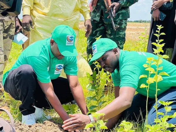 Tchad : Une campagne de reboisement à Fadje