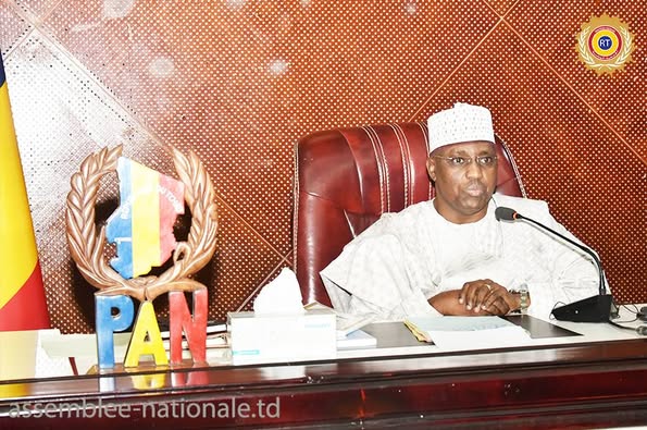Tchad : L'Assemblée nationale examine la révision de la Constitution