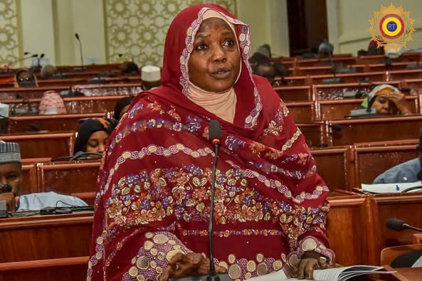 Tchad : Les députés approuvent la création d'une commission spéciale sur la révision de la Constitution