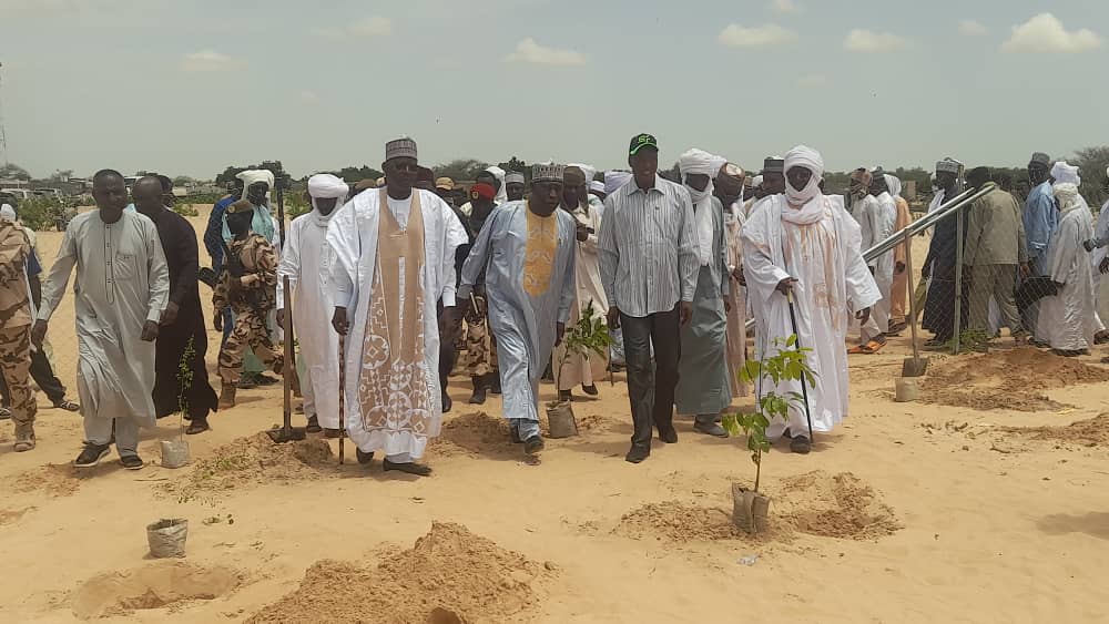 Tchad : 500 arbres plantés pour lutter contre la désertification