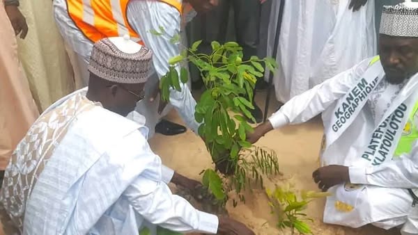 Tchad : Campagne de reboisement pour lutter contre la désertification