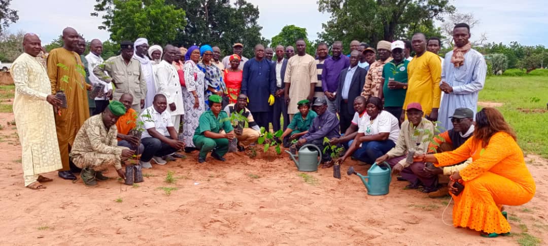 Tchad - Mandoul : Lancement de la Semaine Nationale de l'Arbre