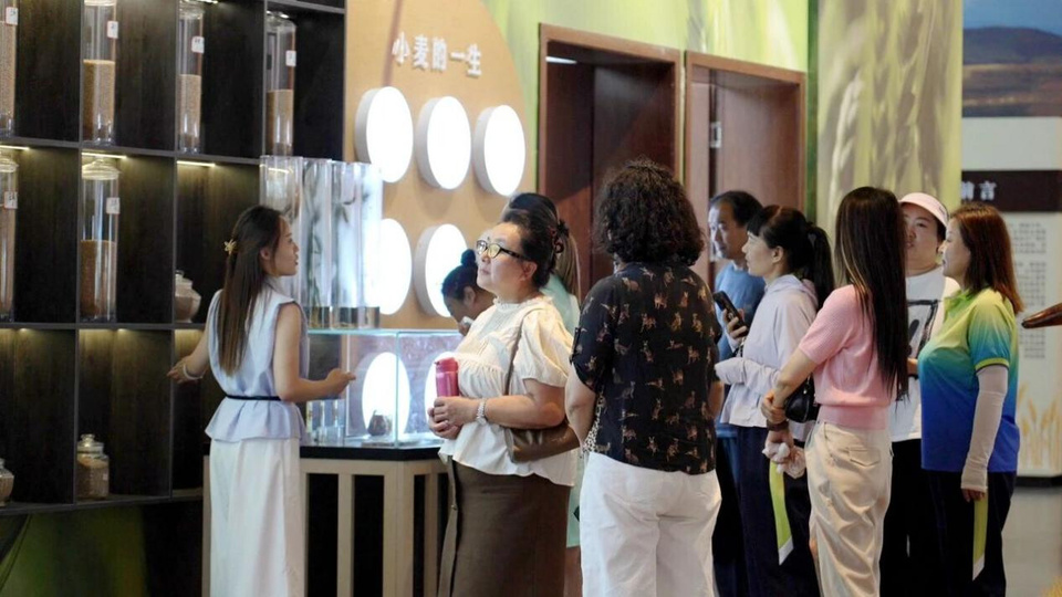 Tourists visit the "wheat museum" in Yaozhanzi village. (Photos provided by the media center of Qitai county)
