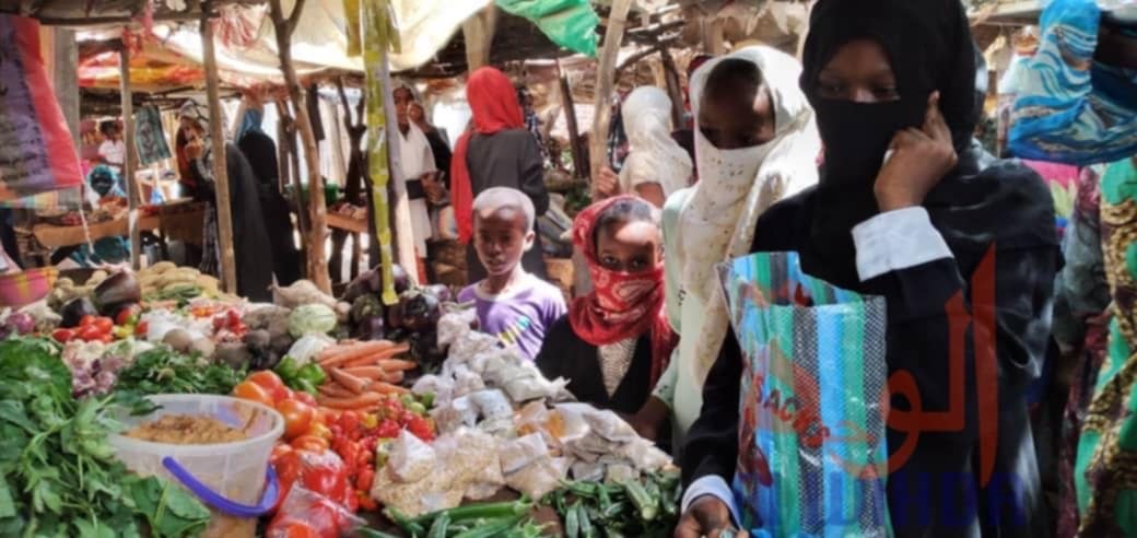 Tchad : comment nourrir plus de 20 millions de Tchadiens d’ici 2030 ?