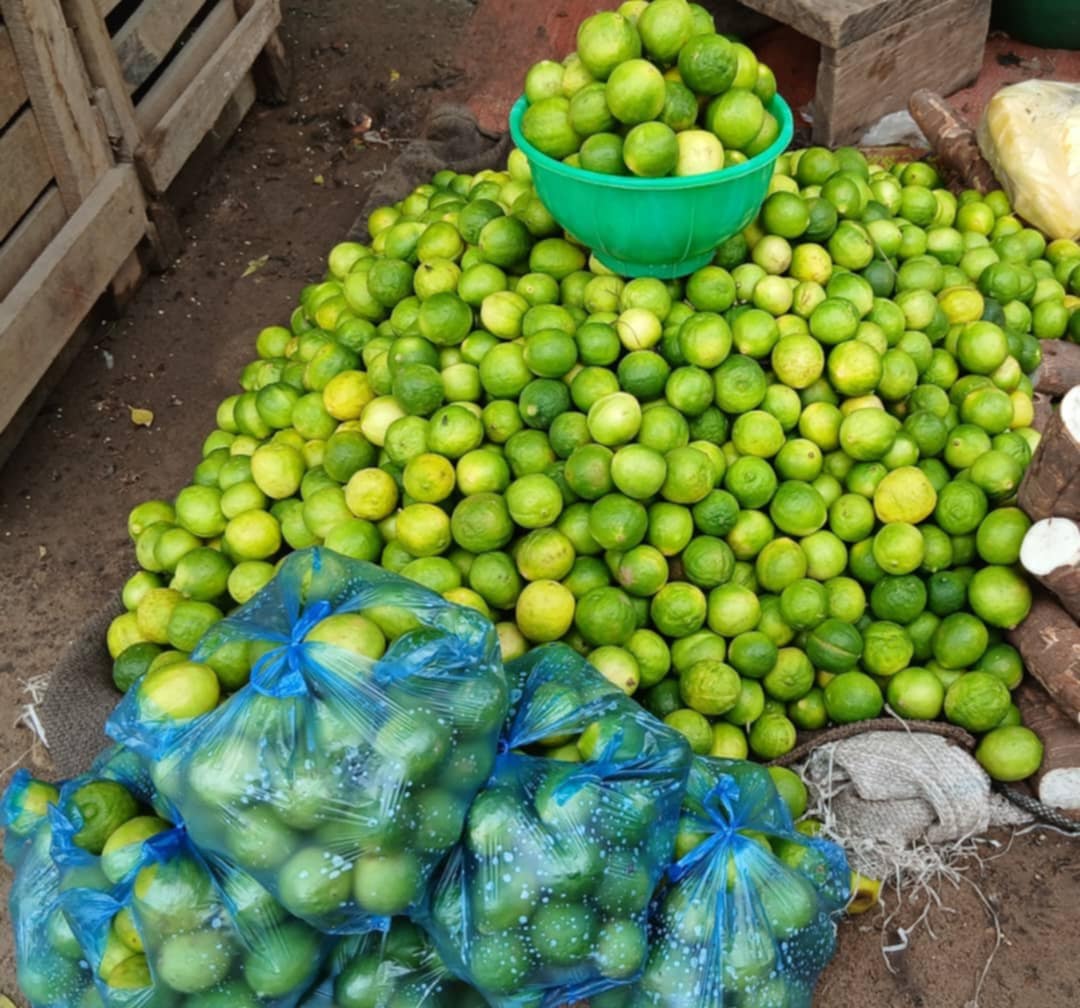 Tchad : abondance de citrons sur le marché, une opportunité pour les petits commerçants