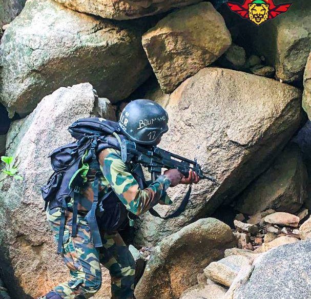 Cameroun : Le BIR neutralise un chef de gang et libère quatre otages dans le Mayo Tsanaga près de la frontière du Nigeria