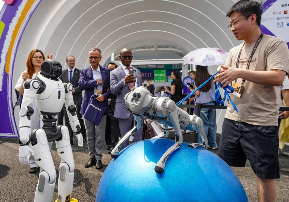A staff member controls a robot dog to move an exercise ball at the 2025 Inclusion Conference on the Bund, in Shanghai, east China, Sept. 12, 2025. (Photo/Li Baoyang)