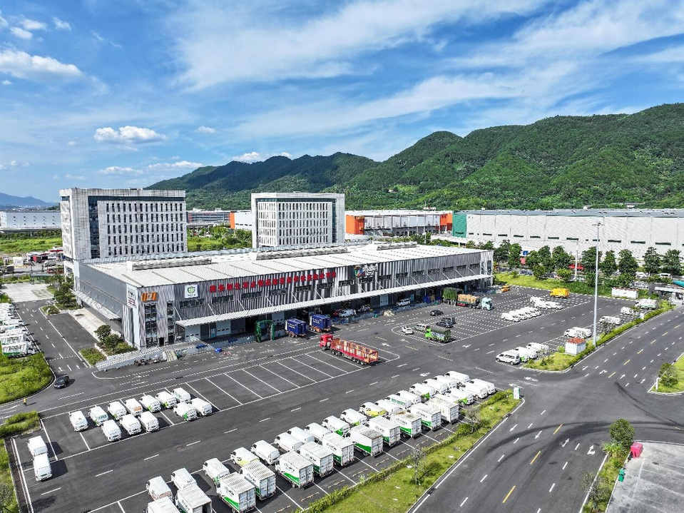 Photo shows a logistics hub in Shapingba district, southwest China's Chongqing municipality. (Photo/Guo Jin)
