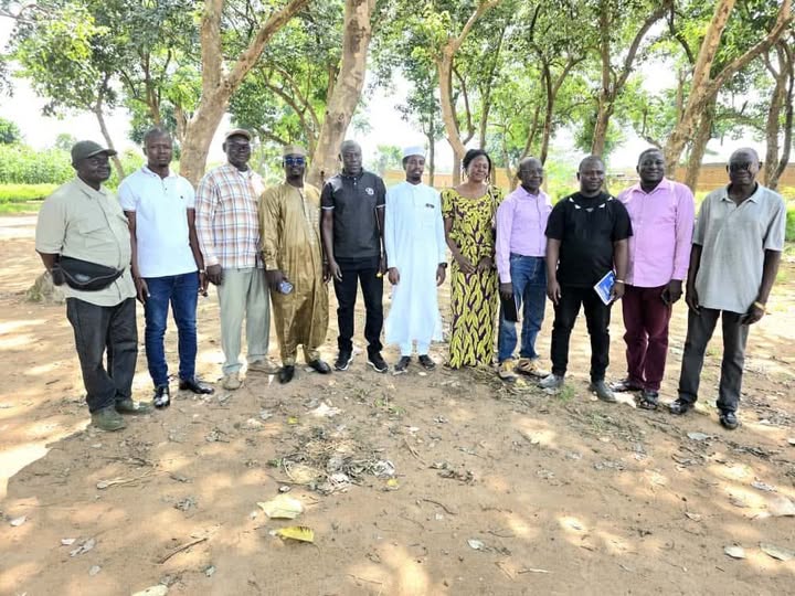 Tchad : La Forêt Communale de Koutou confie sa gestion à l'ONG CERDI