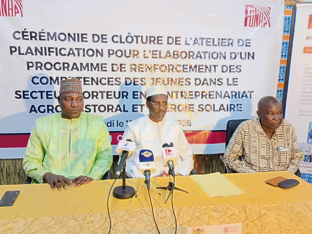 Tchad : le FONAP valide le ProFIEJ pour l’emploi et l’autonomisation des jeunes