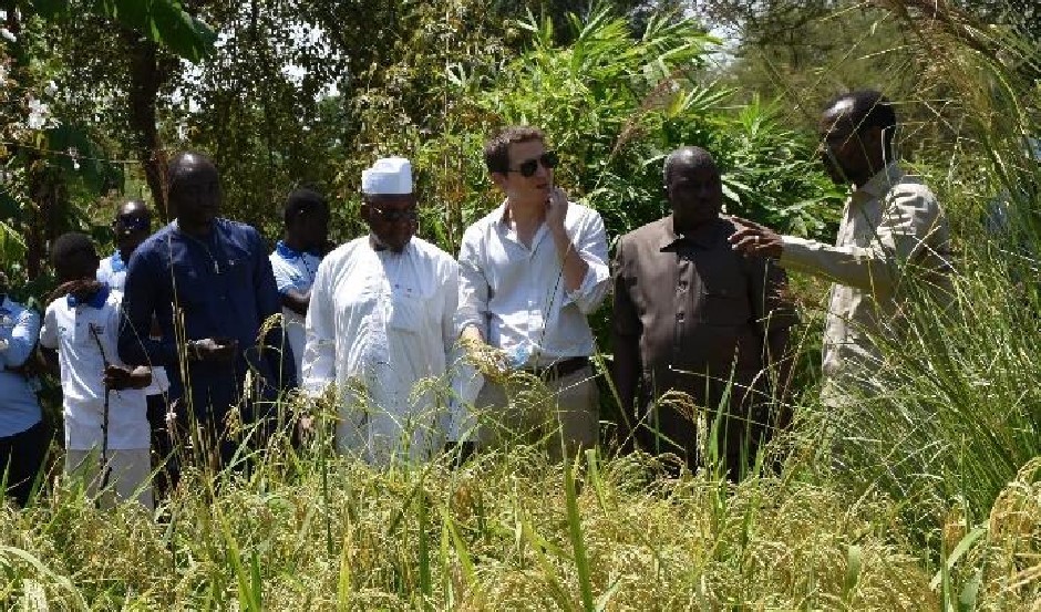 Tchad : l'ambassade de France s'engage en faveur de la jeunesse et du développement durable