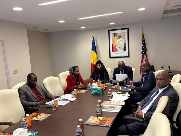 Tchad - USA : Partenariat stratégique avec SolCaribe pour la modernisation du réseau électrique national