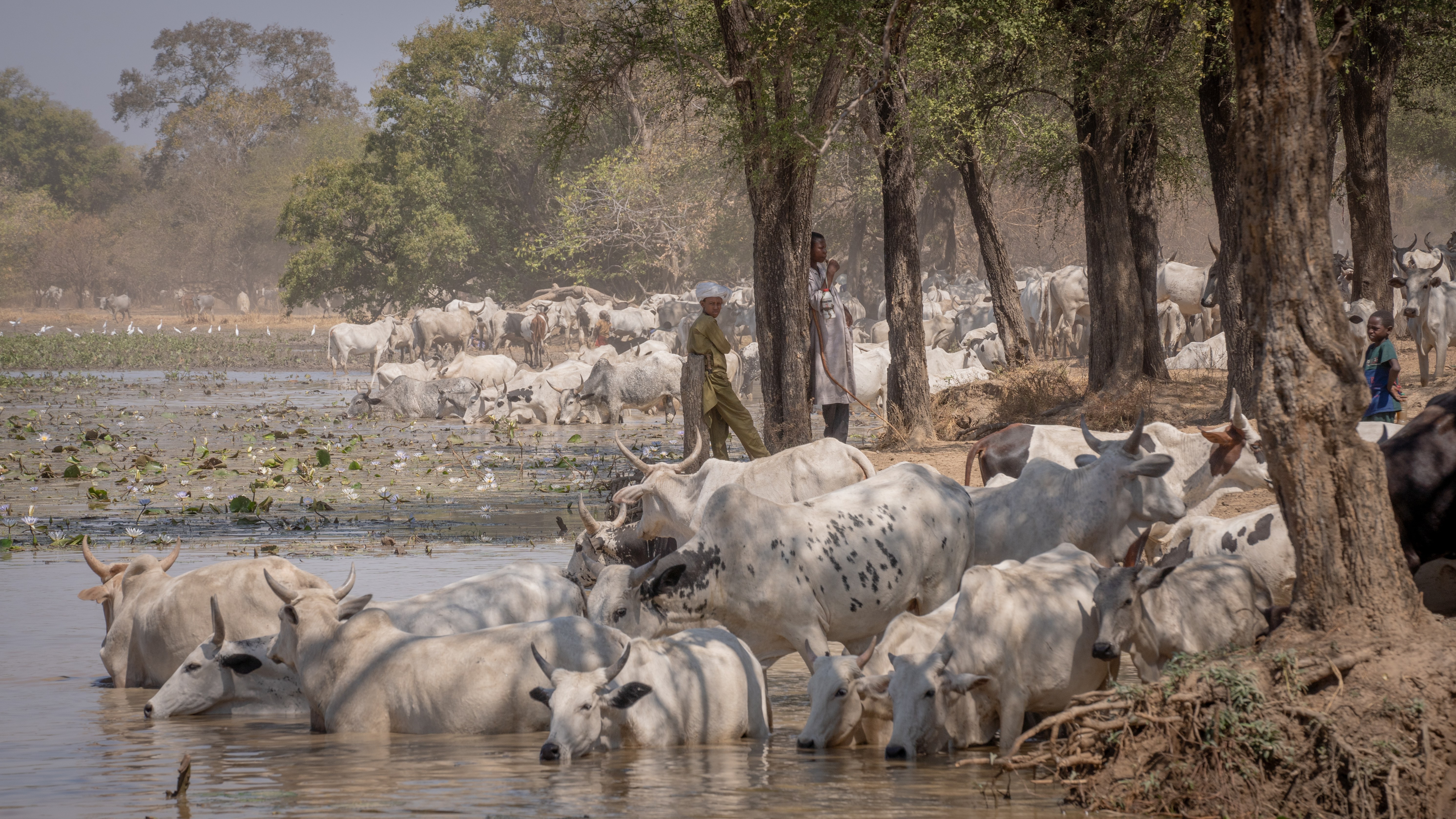 Tchad : Le Paysage Aouk-Keïta, un patrimoine naturel à préserver