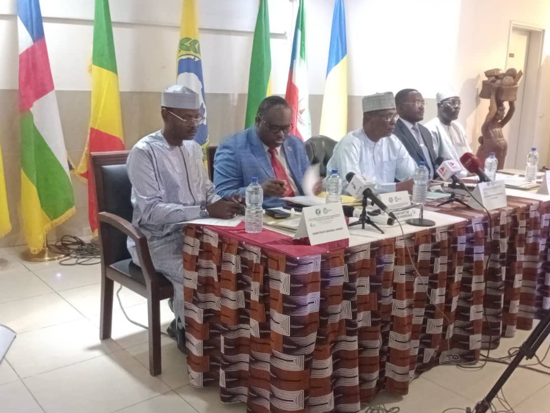 Tchad : Atelier de Formation sur l'Utilisation des Images par le Volet des Standards des Ménages (EHCVM)