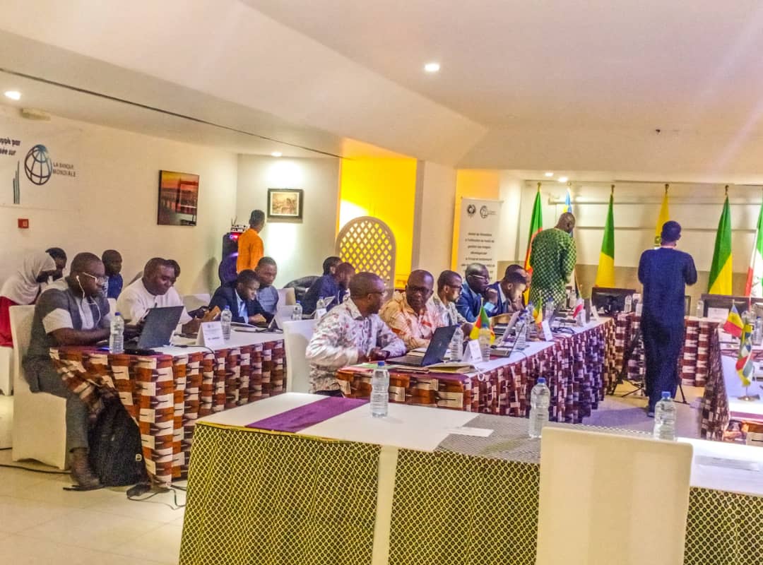 Tchad : Atelier de Formation sur l'Utilisation des Images par le Volet des Standards des Ménages (EHCVM)