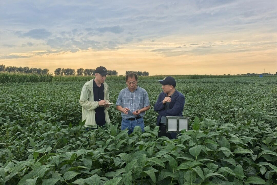 Experts from the Shanghai Artificial Intelligence (AI) Laboratory, Yazhouwan National Laboratory, and China Agricultural University study breeding data. (Photos from the official account of the Shanghai Municipal Commission of Agriculture and Rural Affairs on WeChat)