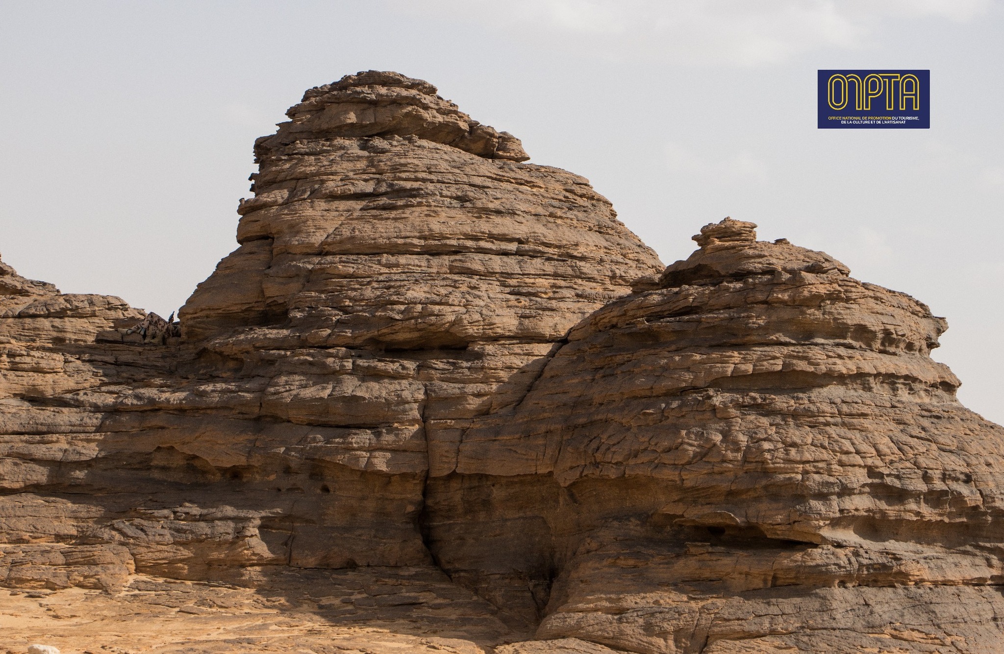 Images et Info: ONPTA