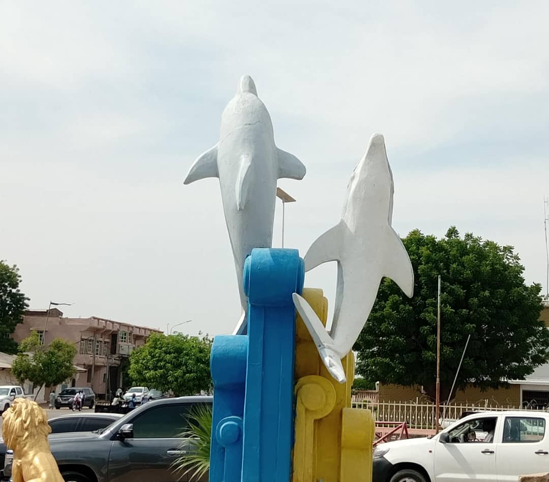 N'Djamena : Que font des dauphins au cœur du Sahel ? 