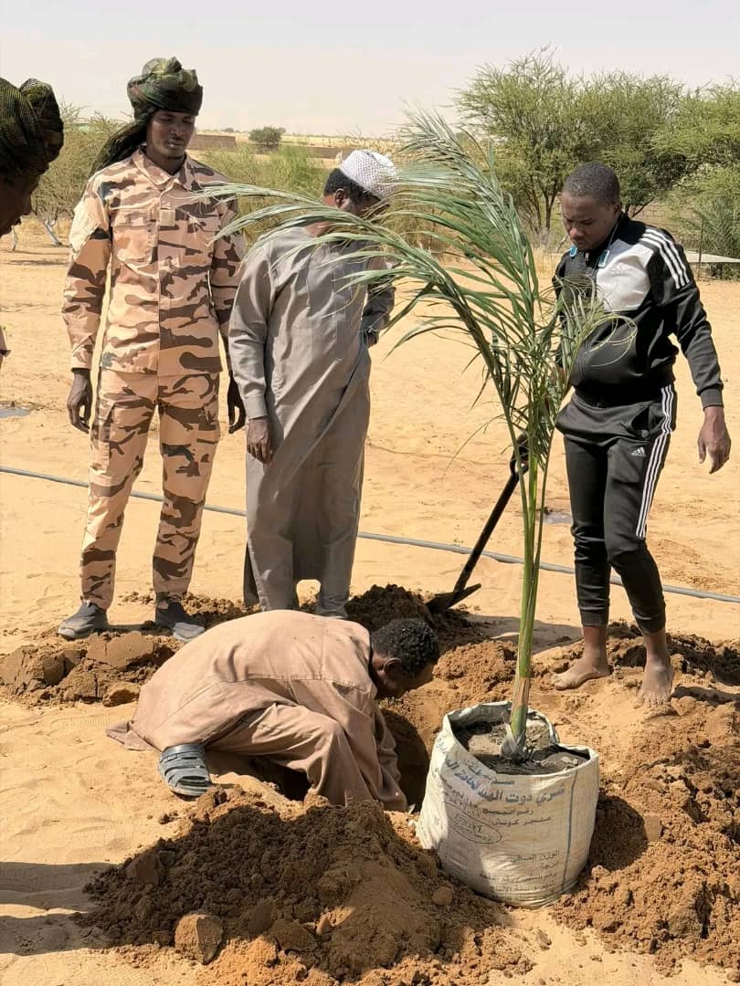 Tchad – Environnement : Lancement de l’opération « Un ménage, un arbre » à Djara (Kanem-Est)