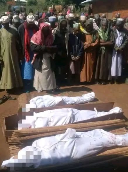 Crise anglophone au Cameroun : Trois  civils Mbororos tués par les séparatistes à Wowo (Donga Mantung)