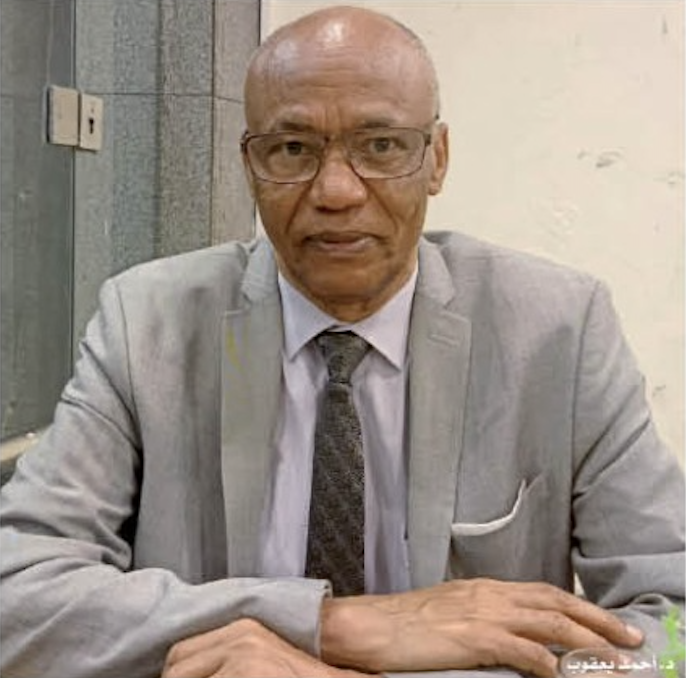 Dr Ahmat Yacoub : "L’Afrique est capable de vaincre le terrorisme… et l’expérience égyptienne en est la meilleure preuve" (Al-Ahram)