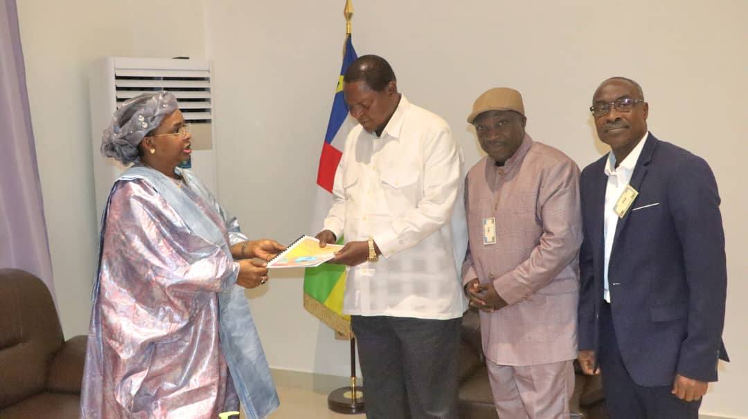 RCA : la mission conjointe d'observation électorale de la diaspora africaine en Europe remet son rapport