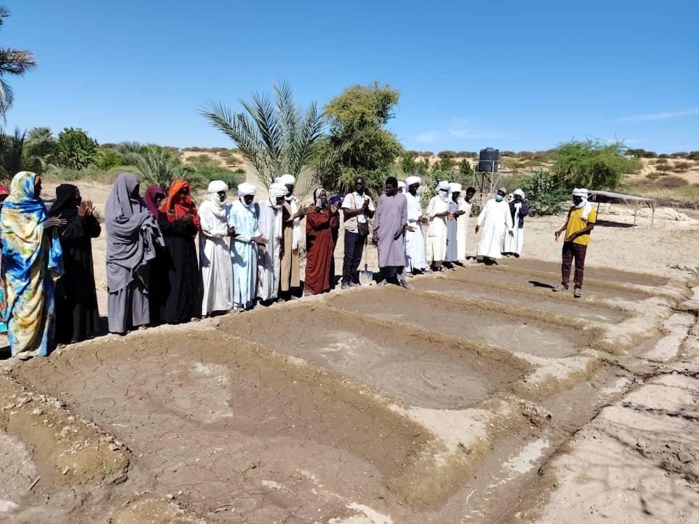 Tchad : partenariat ANADER–P2-P2RS, poursuite des activités avec une visite d’échange à Mao