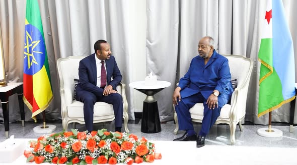 Corne de l'Afrique : Djibouti et l'Éthiopie scellent une alliance stratégique renforcée