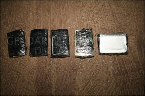 Cameroun - Narcotrafic à Douala : La gendarmerie saisit 5 kg de cocaïne et démantèle un réseau structuré