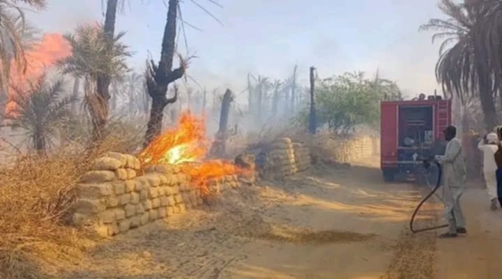 Tchad : au Borkou, des incendies détruisent des palmiers dattiers en pleine saison agricole