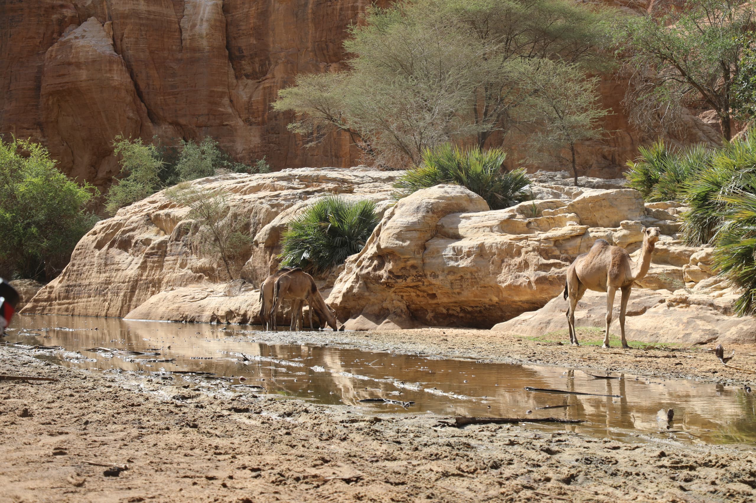 ​Tchad : le corps du touriste français Paul Ferreri retrouvé près du campement de Bachikele