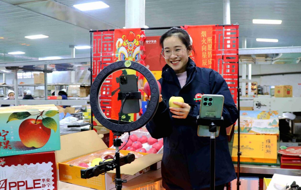 A woman sells apples via livestream in the office of a fruit company in Pingliang, northwest China's Gansu province. (Photo/Wang Yi)
