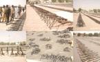 Tchad : La commission mixte de désarmement fait une saisie record d'armes