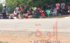 Tchad : à Koutéré, la grande attente et le calvaire pour les étudiants tchadiens du Cameroun