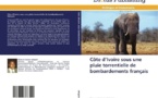 Ouvrage : Côte d'Ivoire sous une pluie torrentielle de bombardements français‏