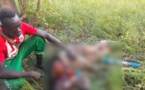 Tchad : un homme égorgé dans son champ après la disparition d'un mouton