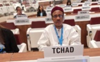 Assemblée Mondiale de la Santé : le Tchad rencontre ses partenaires