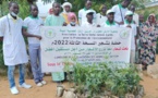Tchad : campagne de plantation d'arbres à Dourbali pour sauver l'environnement