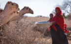 Sécheresse : des millions d’enfants au bord de la catastrophe au Sahel, alerte l'UNICEF