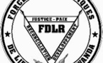 Problématique des éléments des FDLR en RD Congo‏