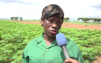 Côte d’Ivoire : Viviane, jeune diplômée ne jure que par l’agriculture pour réaliser ses rêves